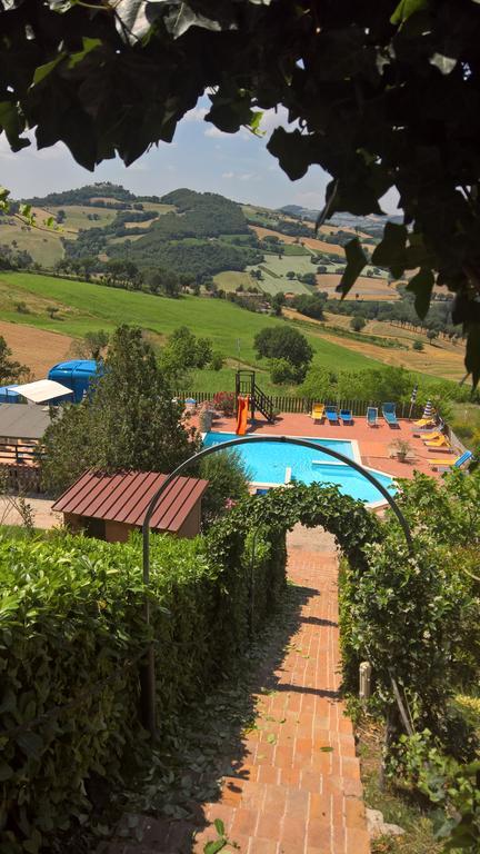 Azienda Agrituristica Piccolo Ranch *
